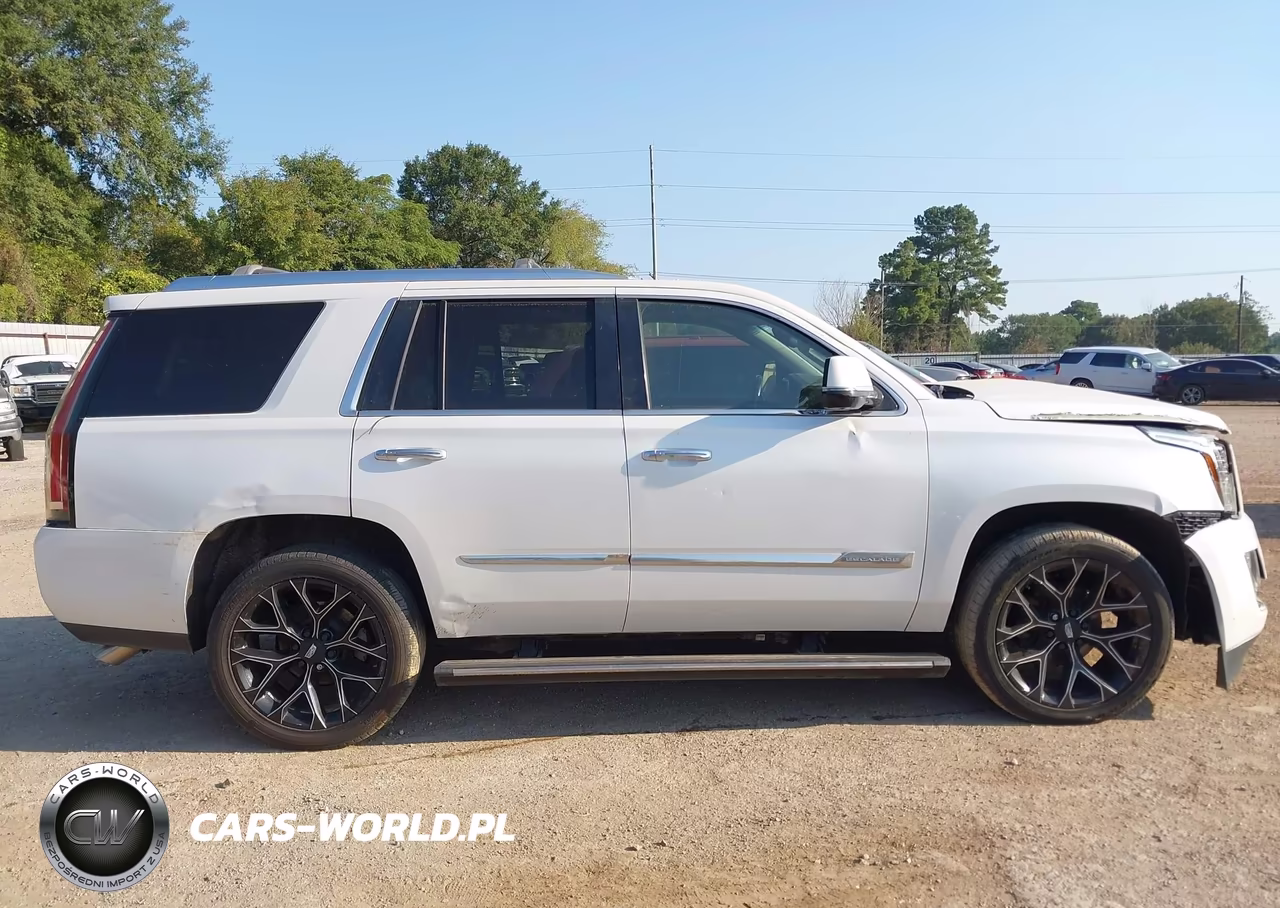 2016 Cadillac Escalade Premium Collection VIN:1GYS4CKJXGR306739 - 19
