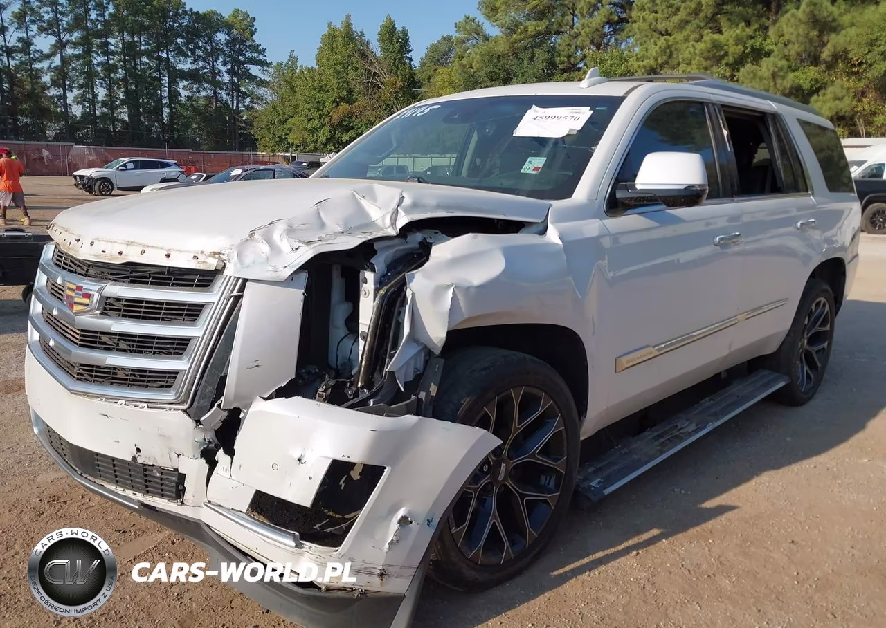 2016 Cadillac Escalade Premium Collection VIN:1GYS4CKJXGR306739 - 2