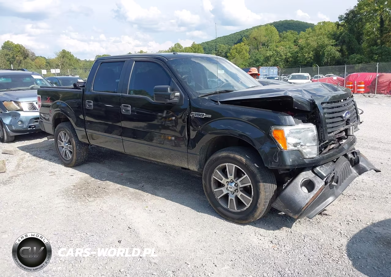 2014 Ford F-150 Stx – zdjęcie 1 z 16