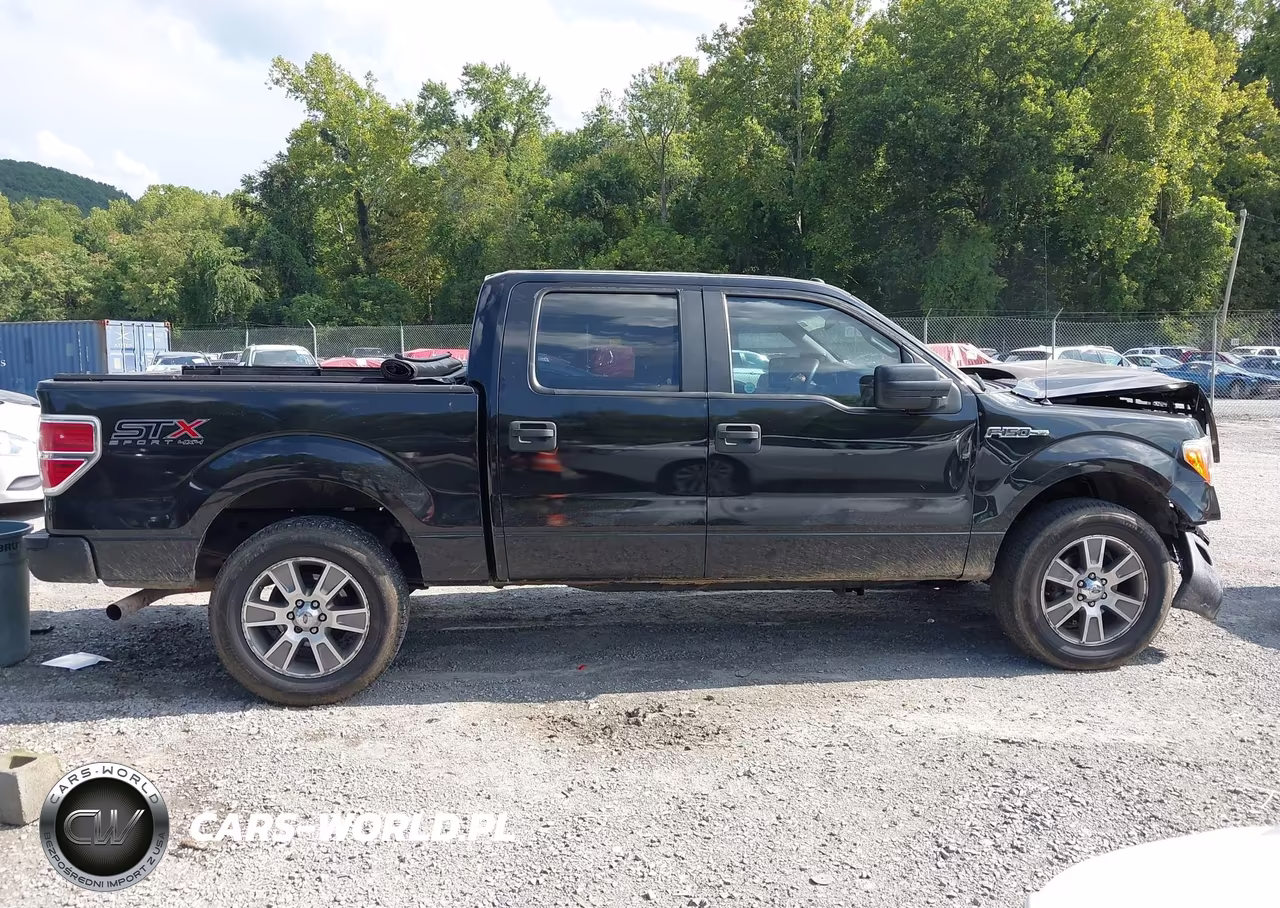 2014 Ford F-150 Stx VIN:1FTFW1EFXEFB15818 - 13