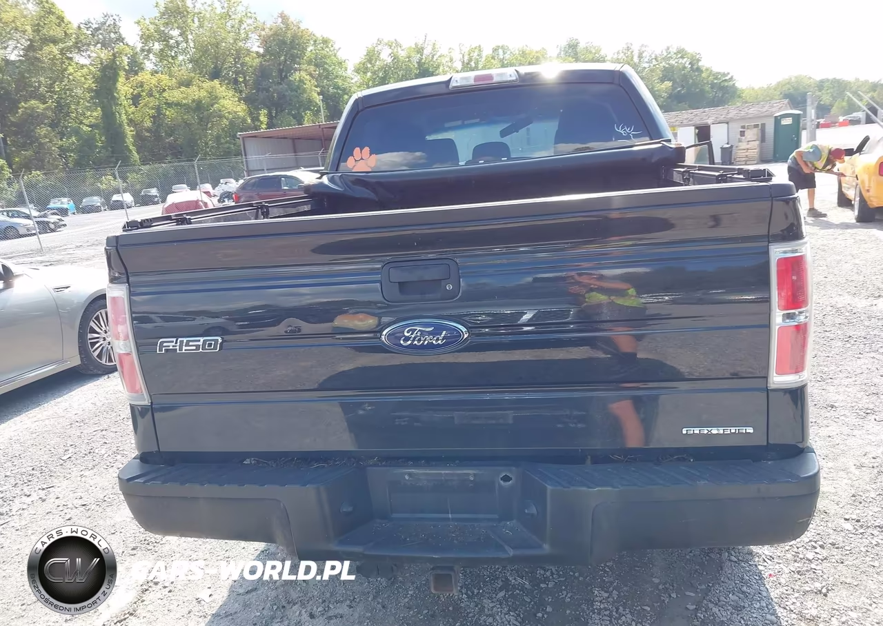 2014 Ford F-150 Stx VIN:1FTFW1EFXEFB15818 - 16