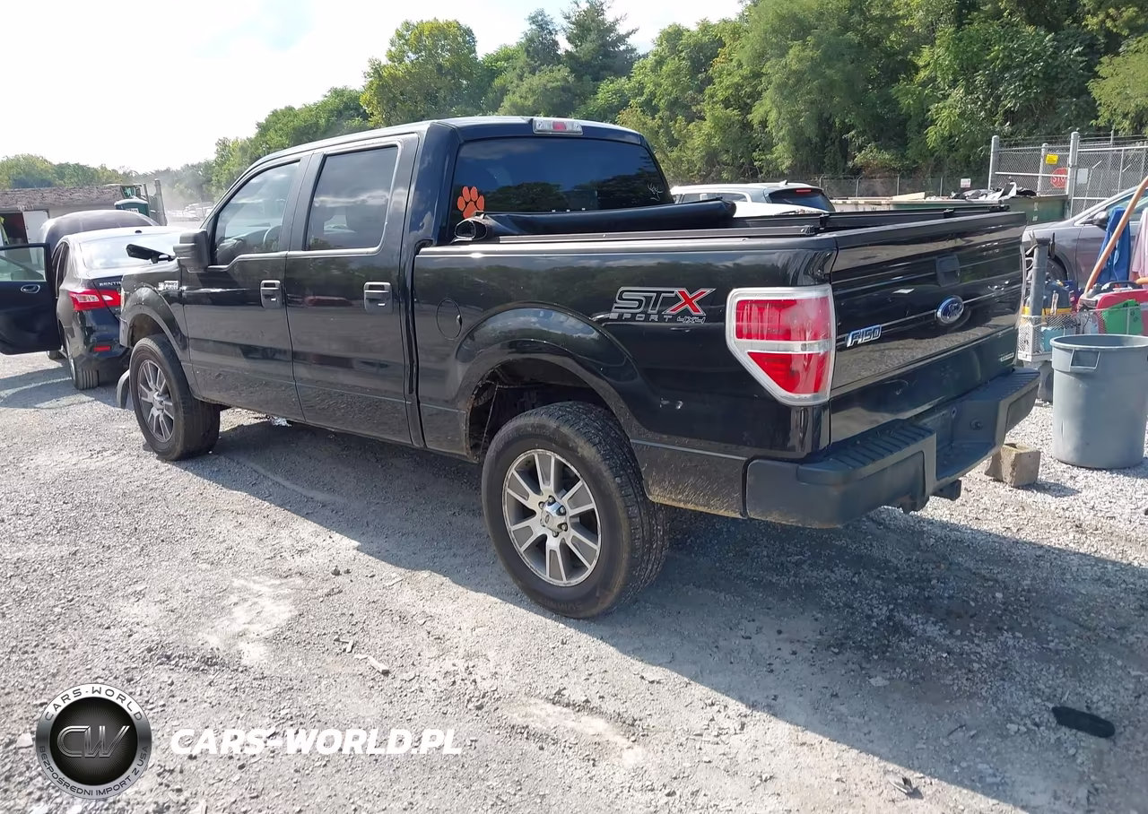 2014 Ford F-150 Stx VIN:1FTFW1EFXEFB15818 - 3
