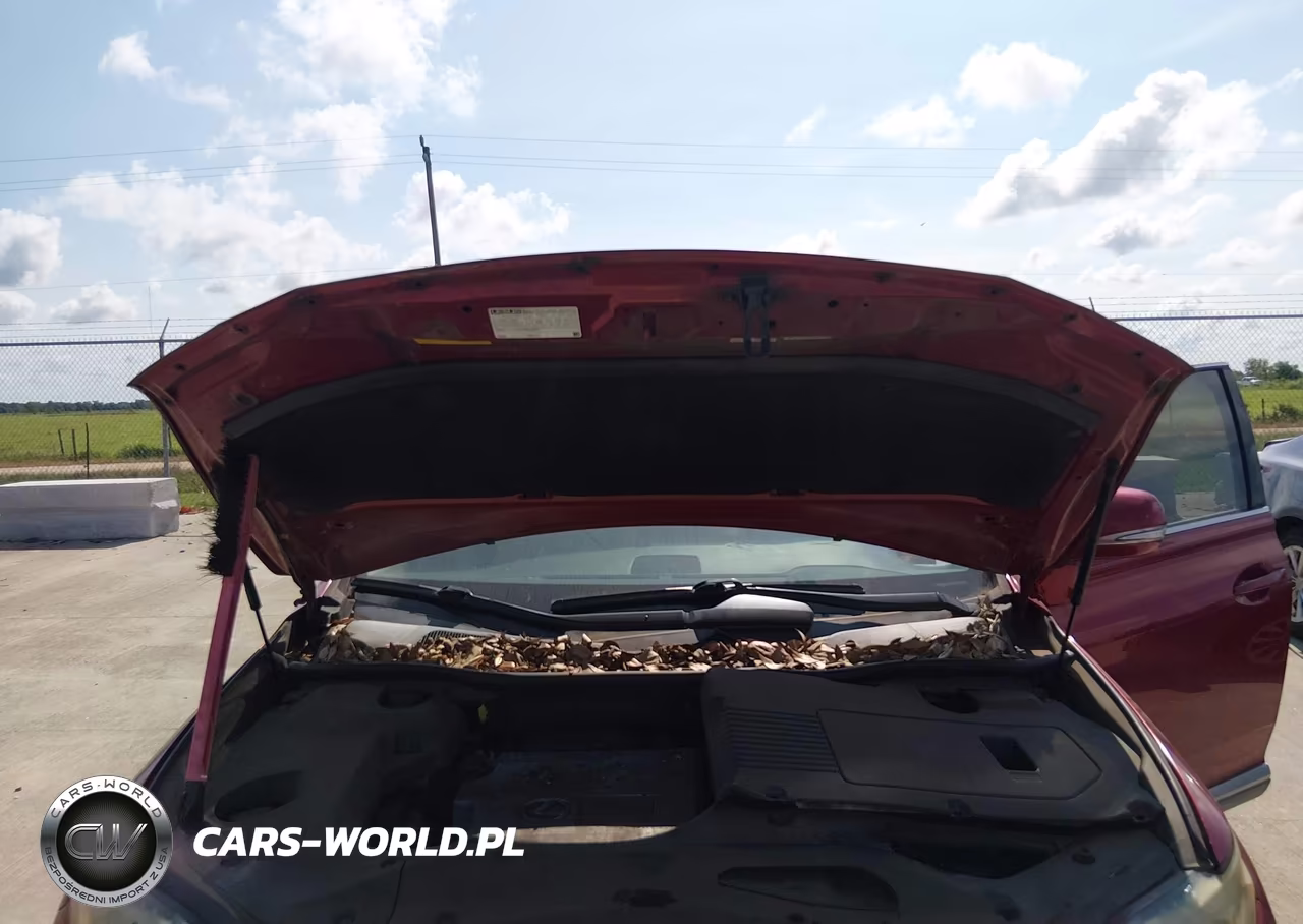 2010 Lexus Rx 450H VIN:JTJZB1BA0A2002900 - 10