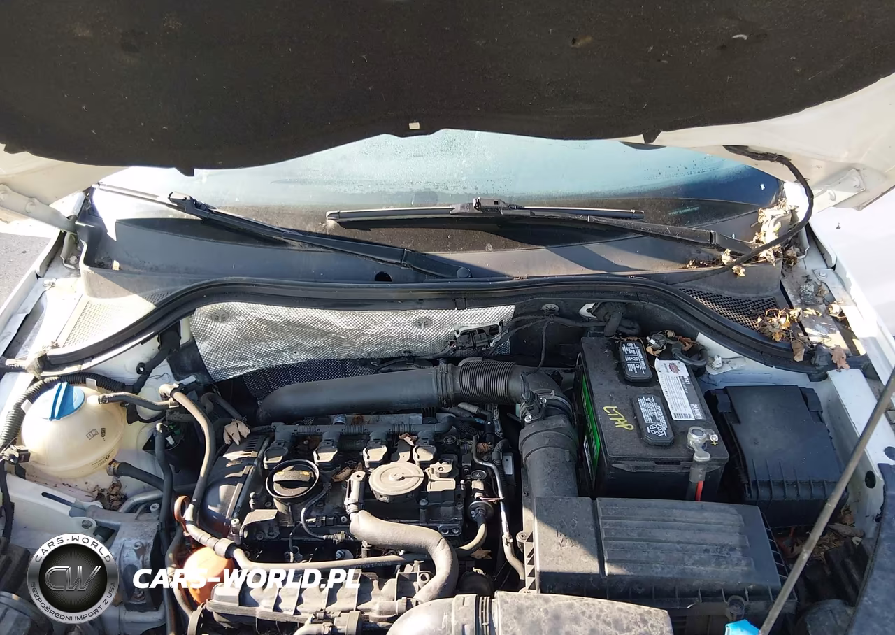 2011 Volkswagen Tiguan Se VIN:WVGBV7AX8BW541825 - 10