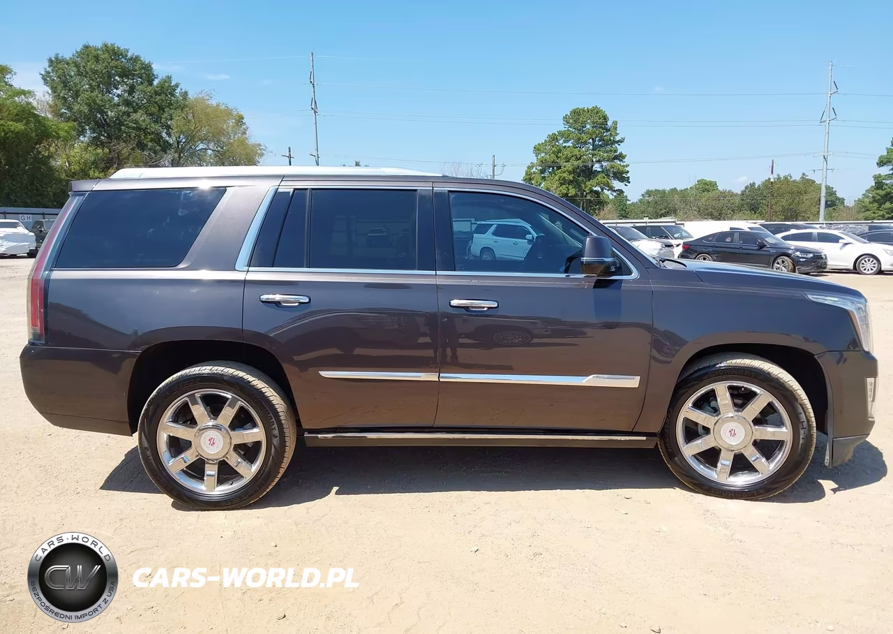 2015 Cadillac Escalade Premium VIN:1GYS3NKJ8FR588697 - 13