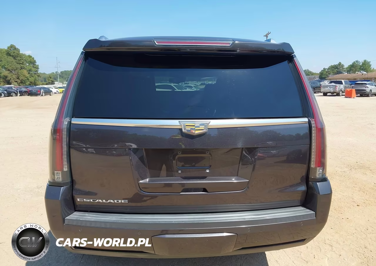2015 Cadillac Escalade Premium VIN:1GYS3NKJ8FR588697 - 16