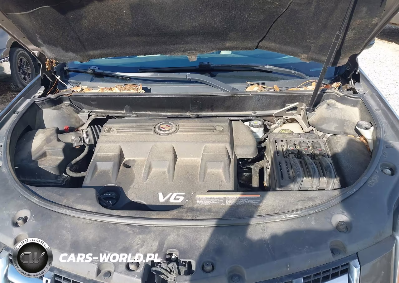 2015 Cadillac Srx Standard VIN:3GYFNAE32FS607758 - 10