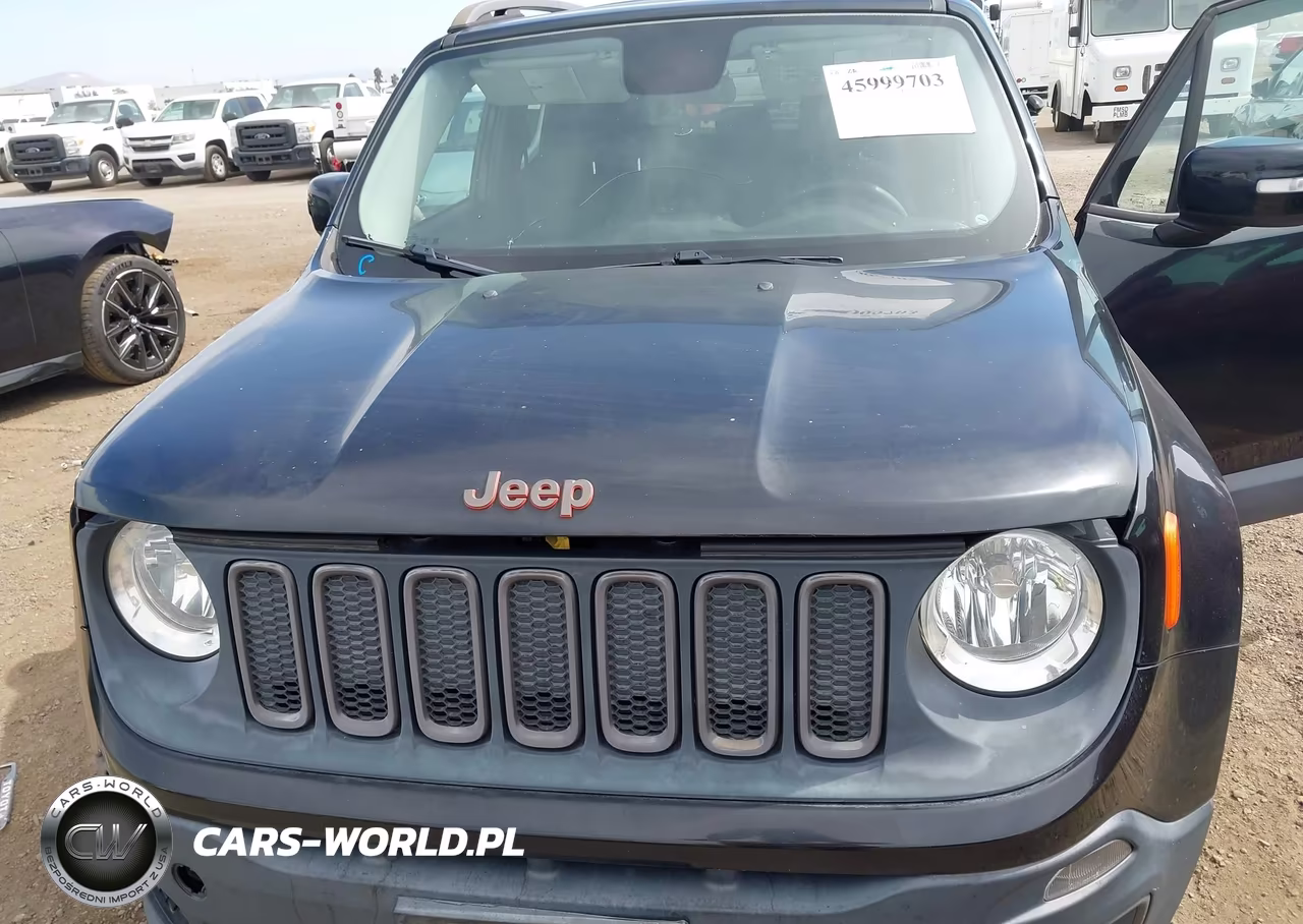 2016 Jeep Renegade 75Th Anniversary VIN:ZACCJABT5GPC65699 - 10
