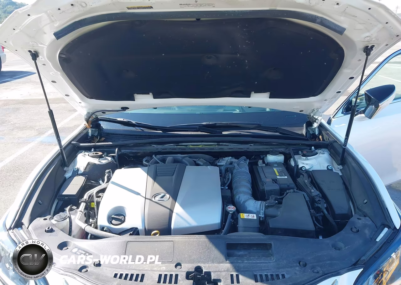 2019 Lexus Es 350 Luxury VIN:58ABZ1B13KU013514 - 10