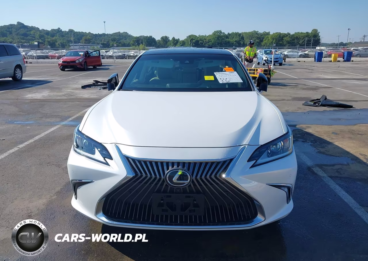 2019 Lexus Es 350 Luxury VIN:58ABZ1B13KU013514 - 12