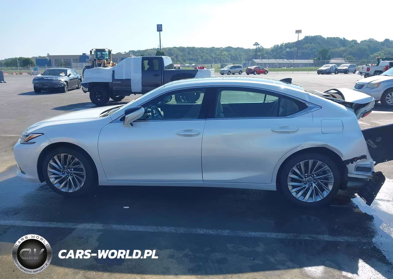 2019 Lexus Es 350 Luxury VIN:58ABZ1B13KU013514 - 14