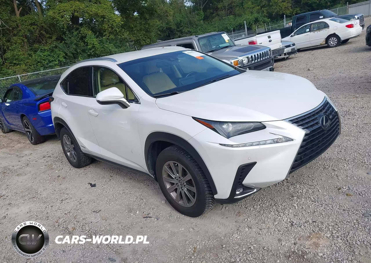 2018 Lexus Nx 300H