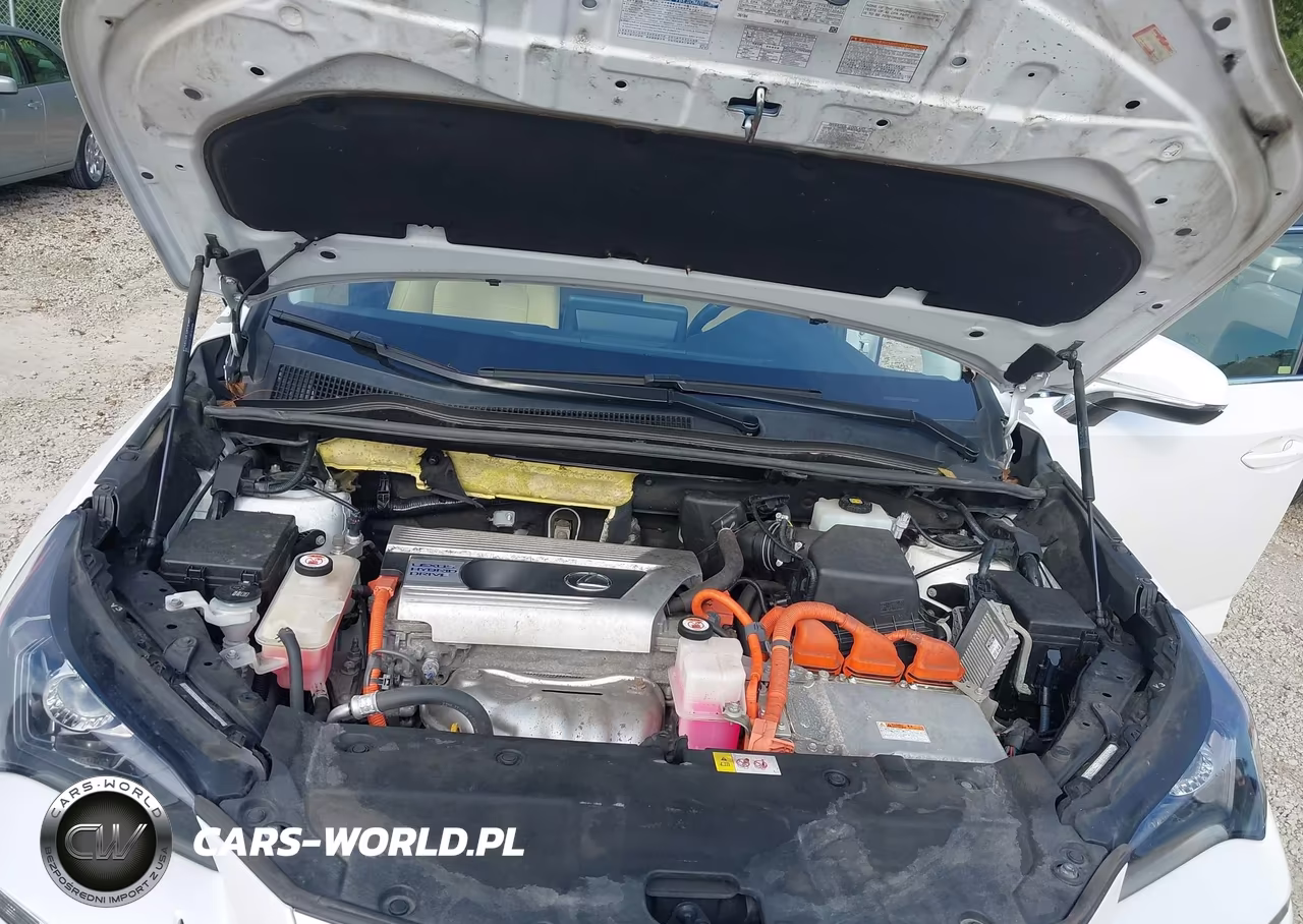 2018 Lexus Nx 300H VIN:JTJBJRBZ3J2076854 - 10