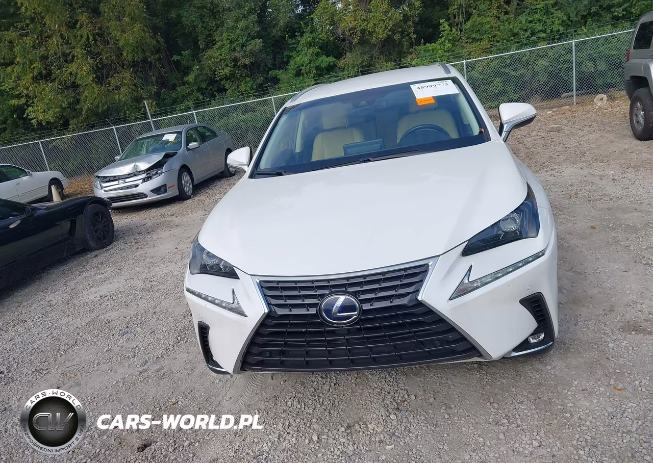 2018 Lexus Nx 300H VIN:JTJBJRBZ3J2076854 - 12