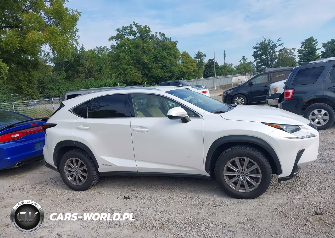2018 Lexus Nx 300H VIN:JTJBJRBZ3J2076854 - 13