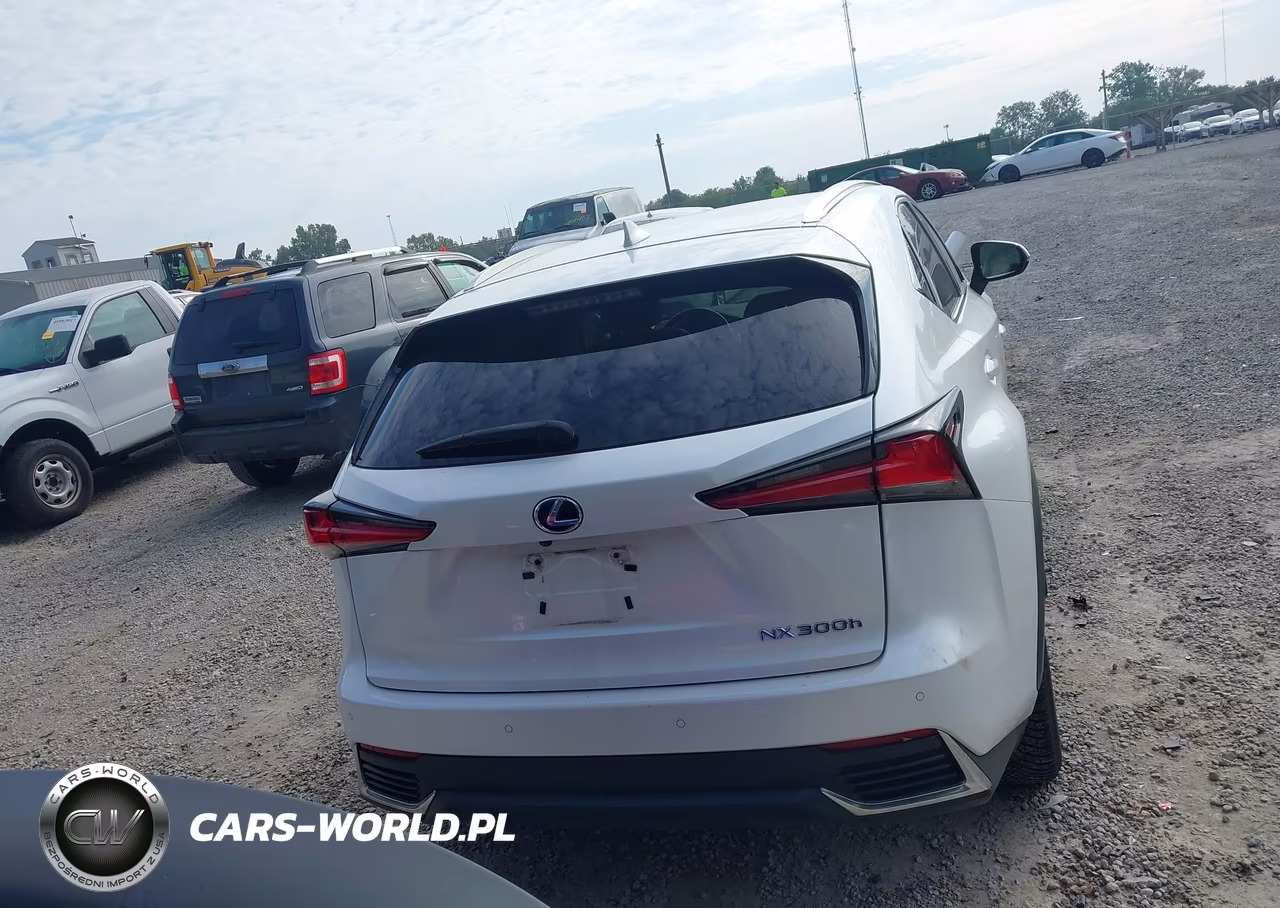 2018 Lexus Nx 300H VIN:JTJBJRBZ3J2076854 - 16
