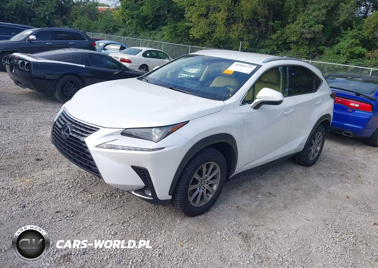 2018 Lexus Nx 300H VIN:JTJBJRBZ3J2076854 - 2