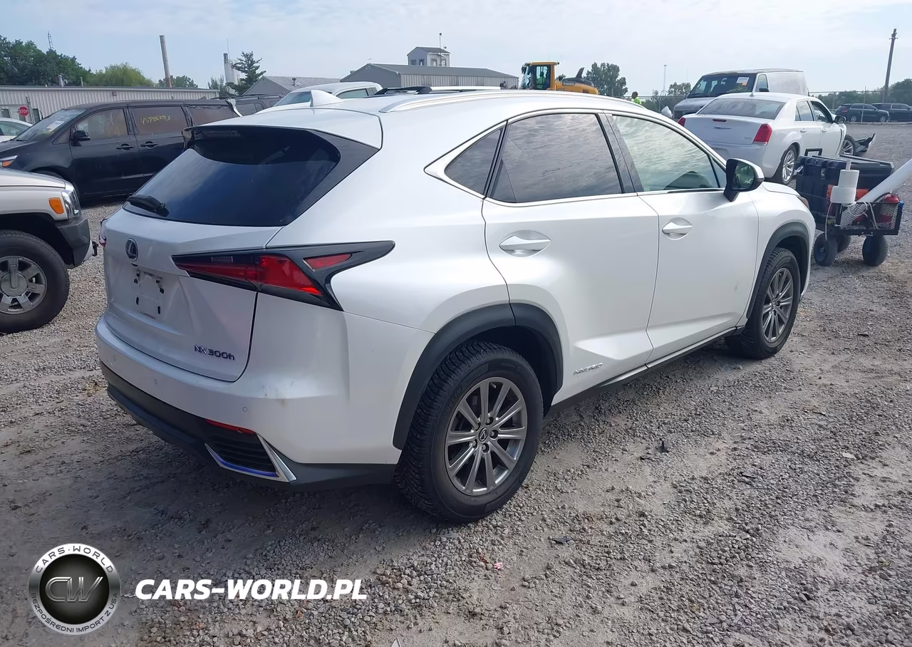 2018 Lexus Nx 300H VIN:JTJBJRBZ3J2076854 - 4