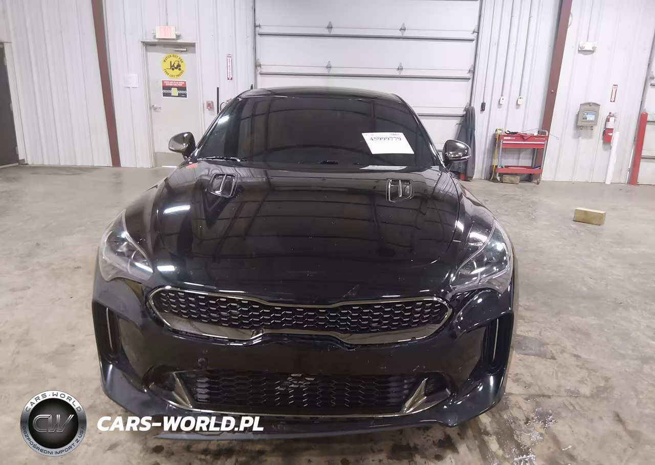 2020 Kia Stinger Gt VIN:KNAE35LC7L6078435 - 12