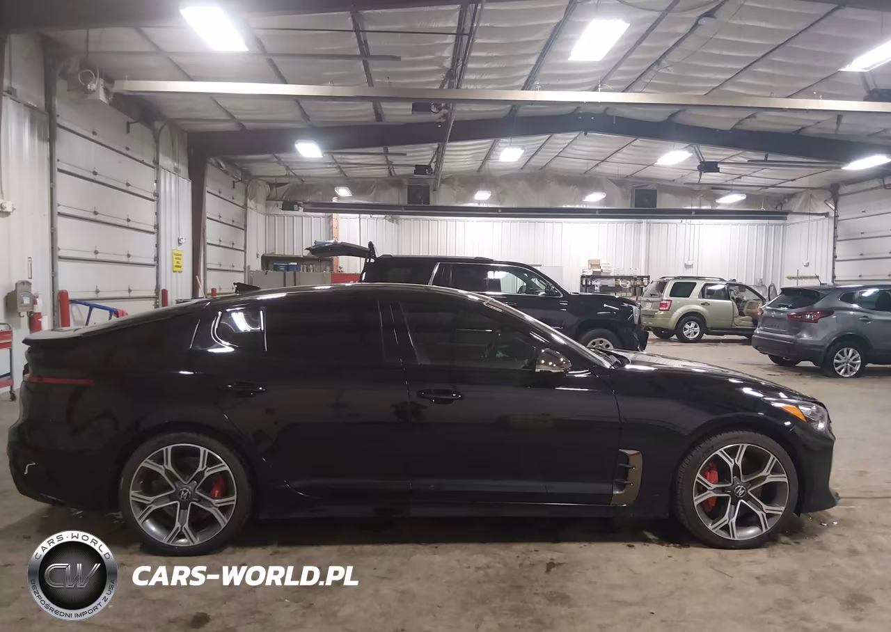 2020 Kia Stinger Gt VIN:KNAE35LC7L6078435 - 13