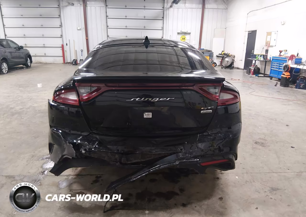 2020 Kia Stinger Gt VIN:KNAE35LC7L6078435 - 16