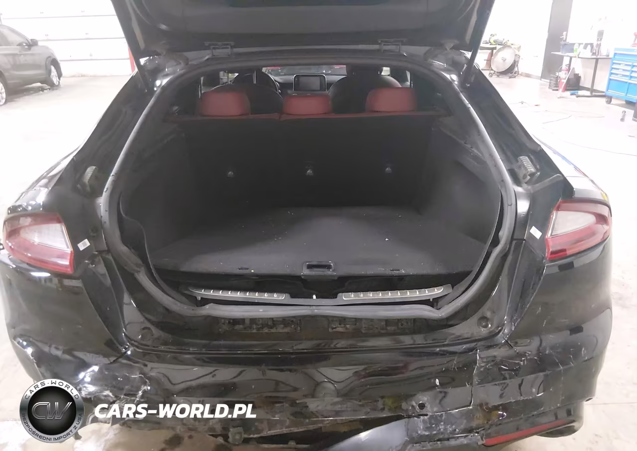 2020 Kia Stinger Gt VIN:KNAE35LC7L6078435 - 17