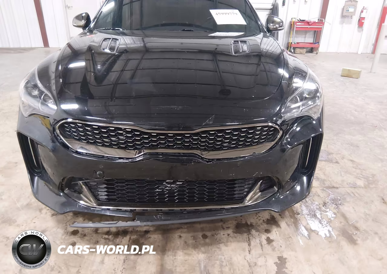 2020 Kia Stinger Gt VIN:KNAE35LC7L6078435 - 18