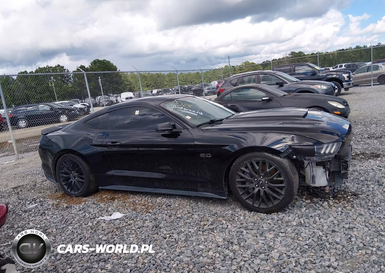 2015 Ford Mustang Gt VIN:1FA6P8CF1F5303925 - 14