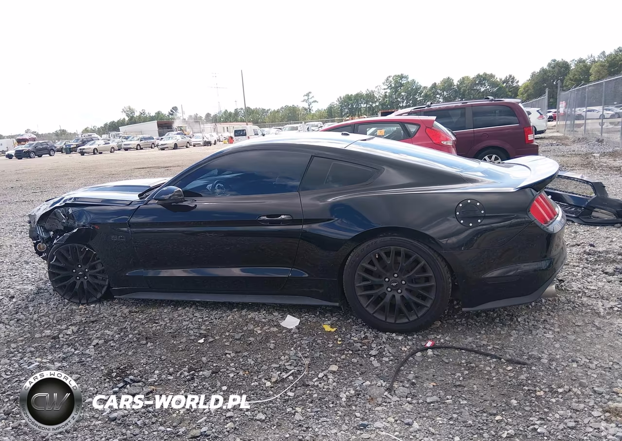 2015 Ford Mustang Gt VIN:1FA6P8CF1F5303925 - 15