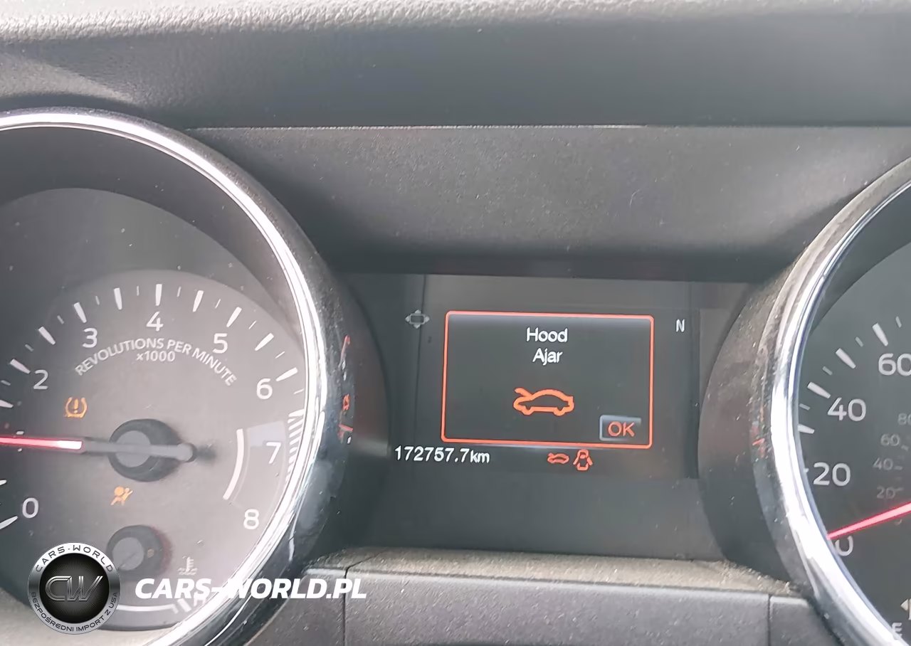2015 Ford Mustang Gt VIN:1FA6P8CF1F5303925 - 16