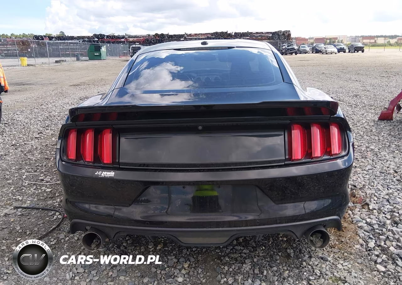 2015 Ford Mustang Gt VIN:1FA6P8CF1F5303925 - 17