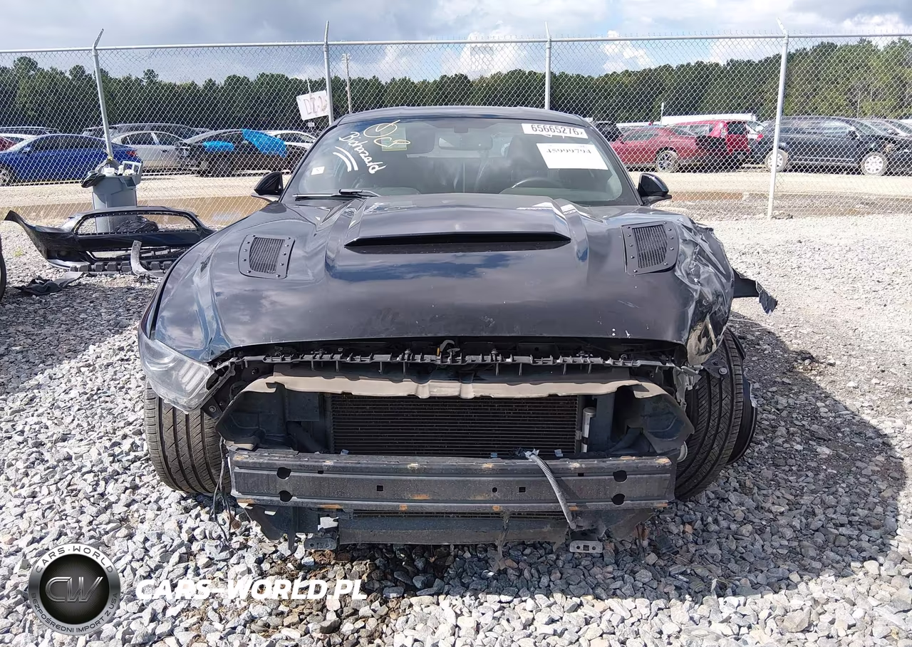 2015 Ford Mustang Gt VIN:1FA6P8CF1F5303925 - 18