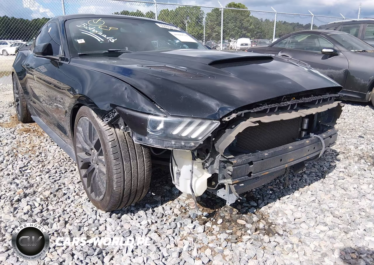 2015 Ford Mustang Gt VIN:1FA6P8CF1F5303925 - 19