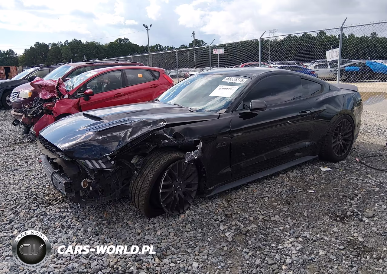 2015 Ford Mustang Gt VIN:1FA6P8CF1F5303925 - 2