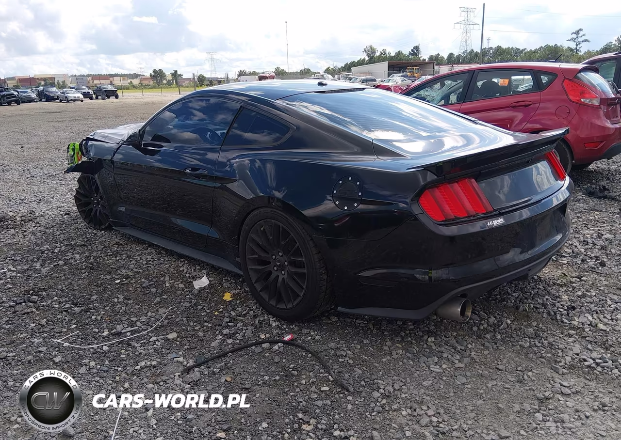 2015 Ford Mustang Gt VIN:1FA6P8CF1F5303925 - 3