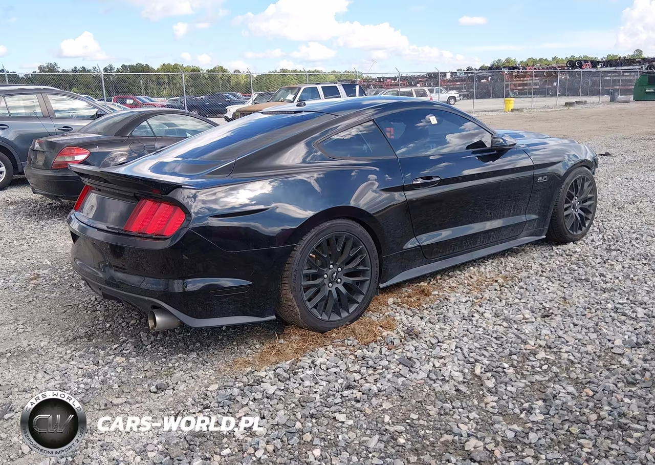 2015 Ford Mustang Gt VIN:1FA6P8CF1F5303925 - 4