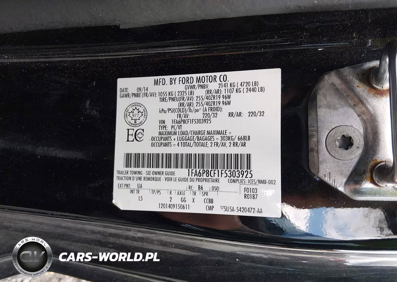 2015 Ford Mustang Gt VIN:1FA6P8CF1F5303925 - 9
