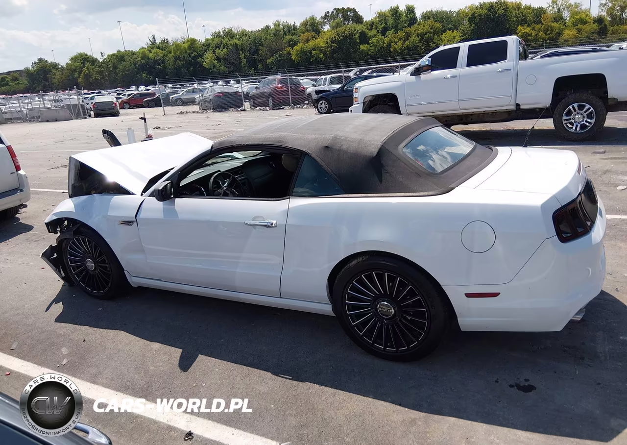 2014 Ford Mustang V6 VIN:1ZVBP8EM6E5281615 - 14