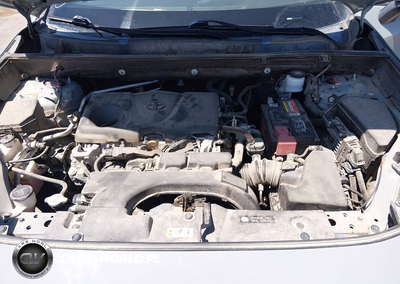 2019 Toyota Rav4 Xle VIN:2T3W1RFV0KC016519 - 10