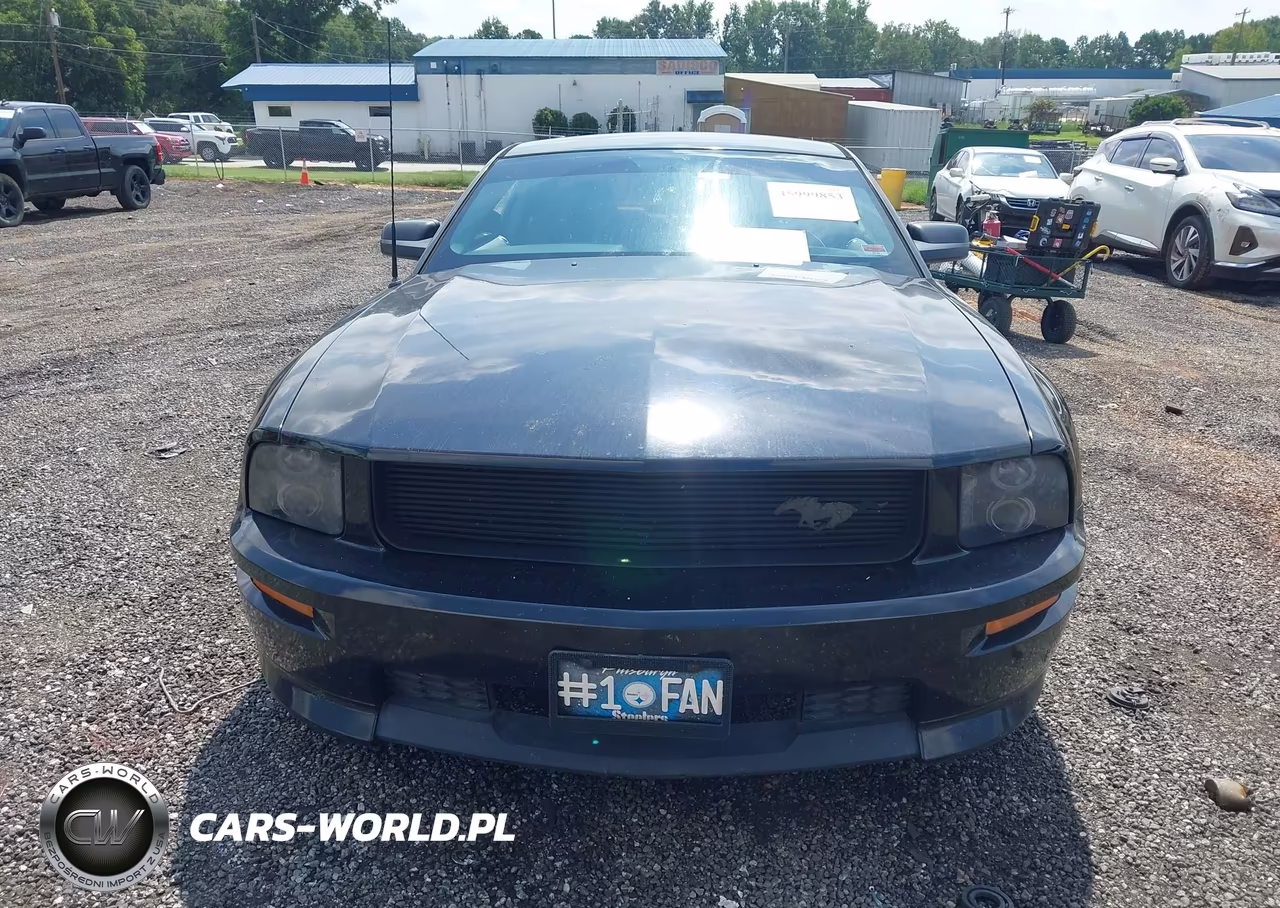 2009 Ford Mustang Gt-Gt Premium VIN:1ZVHT82H695101682 - 12