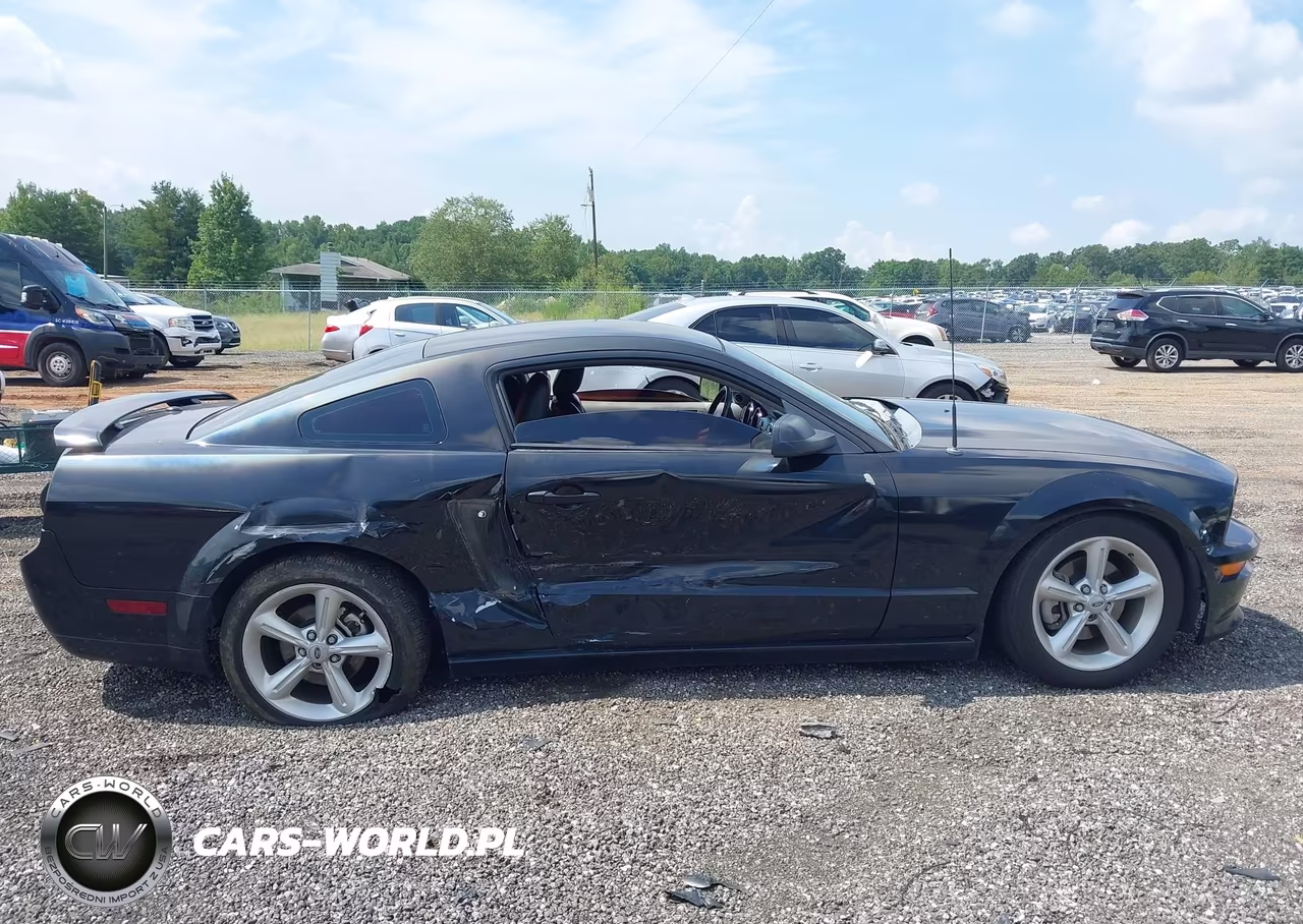 2009 Ford Mustang Gt-Gt Premium VIN:1ZVHT82H695101682 - 13