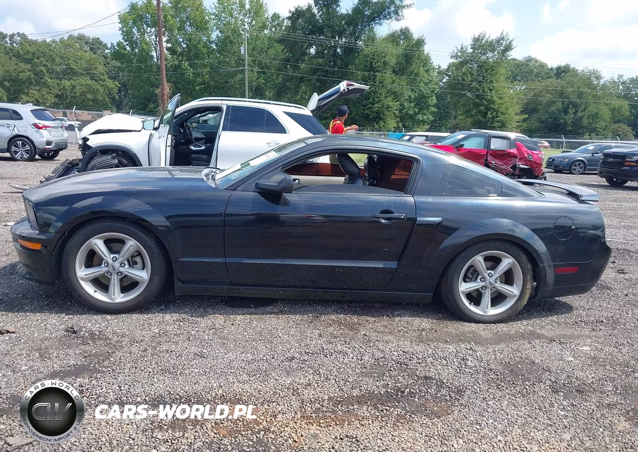 2009 Ford Mustang Gt-Gt Premium VIN:1ZVHT82H695101682 - 14