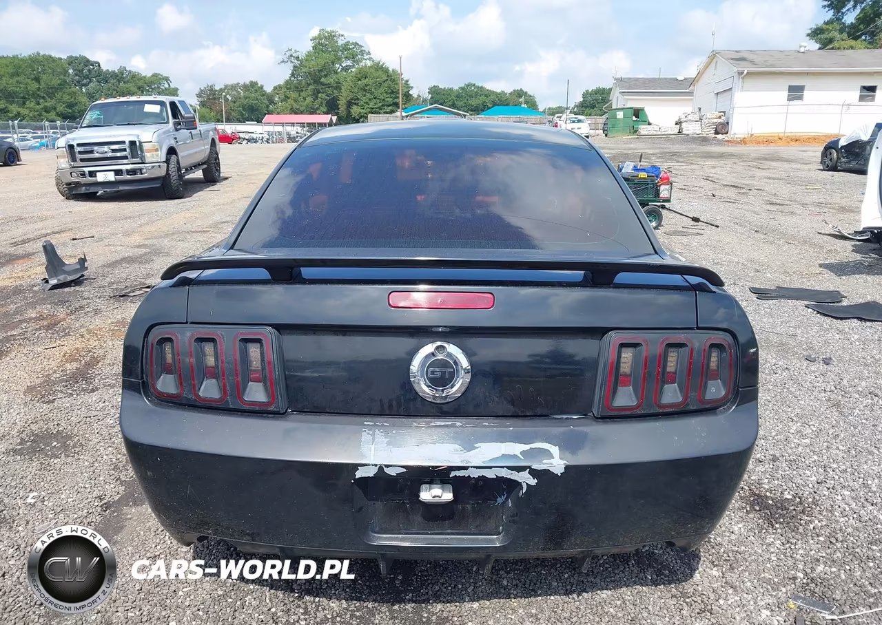 2009 Ford Mustang Gt-Gt Premium VIN:1ZVHT82H695101682 - 16