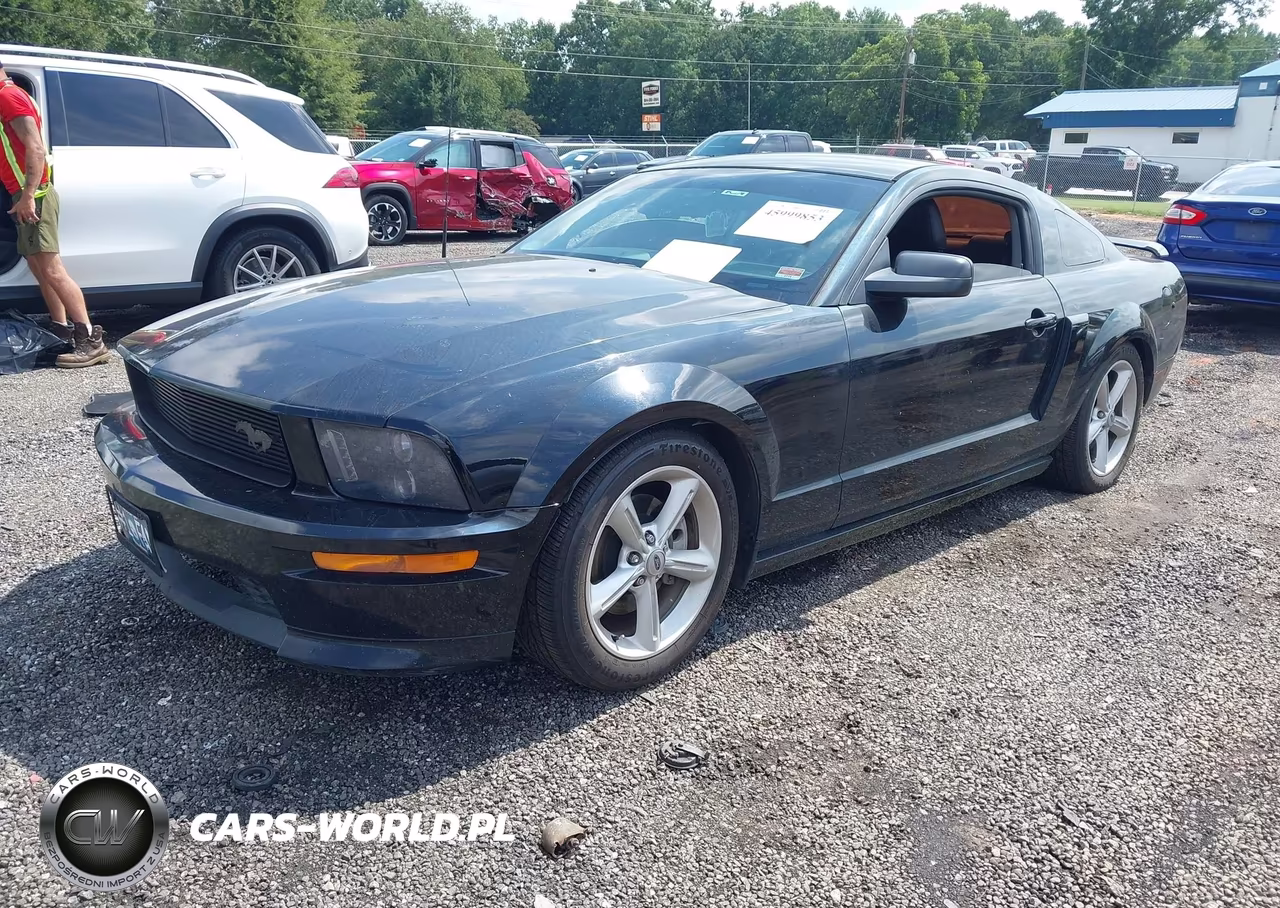 2009 Ford Mustang Gt-Gt Premium VIN:1ZVHT82H695101682 - 2