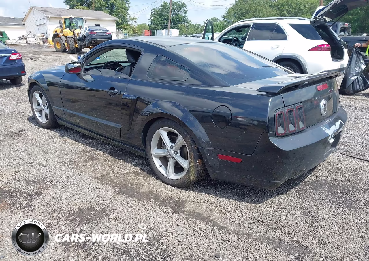 2009 Ford Mustang Gt-Gt Premium VIN:1ZVHT82H695101682 - 3