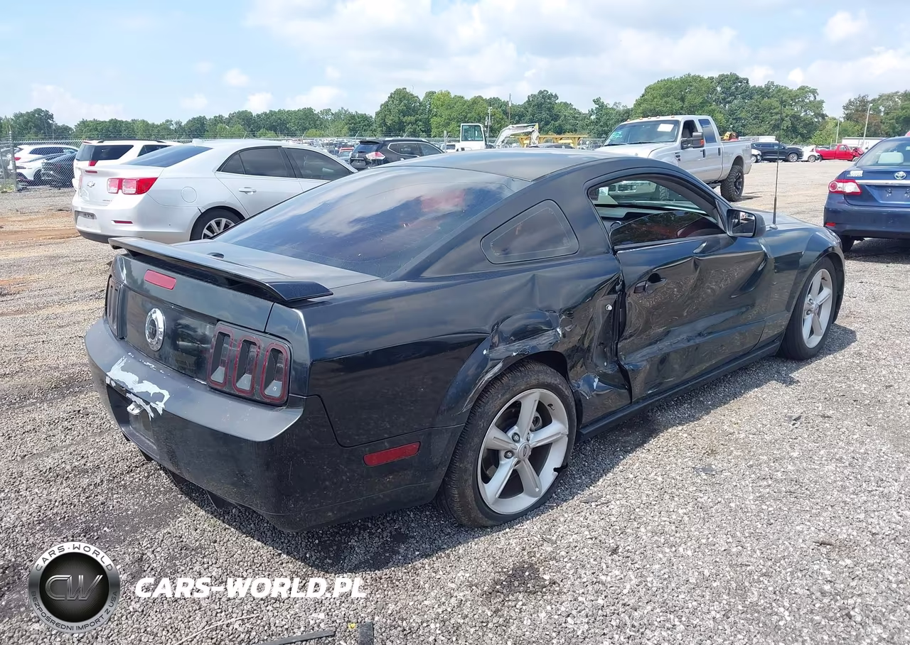 2009 Ford Mustang Gt-Gt Premium VIN:1ZVHT82H695101682 - 4