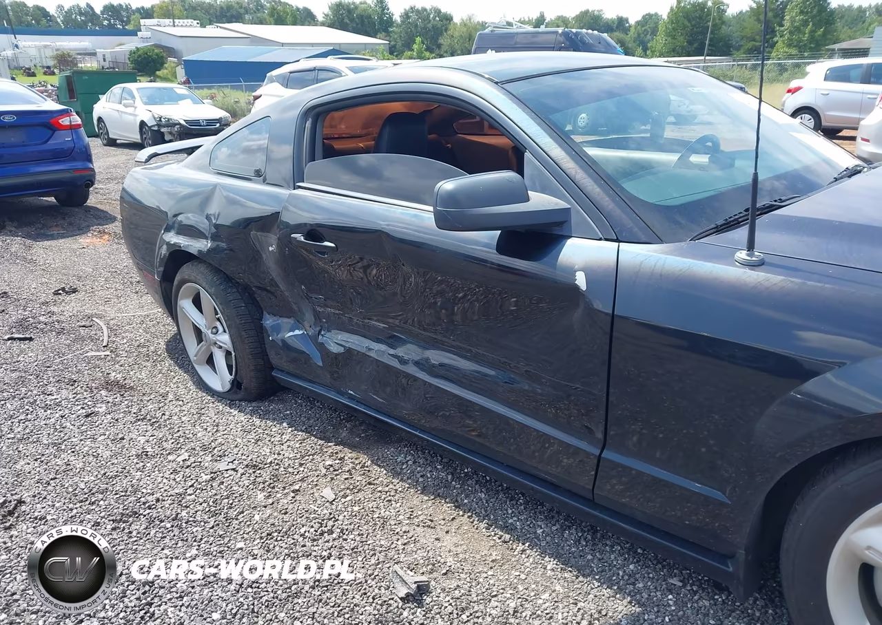 2009 Ford Mustang Gt-Gt Premium VIN:1ZVHT82H695101682 - 6