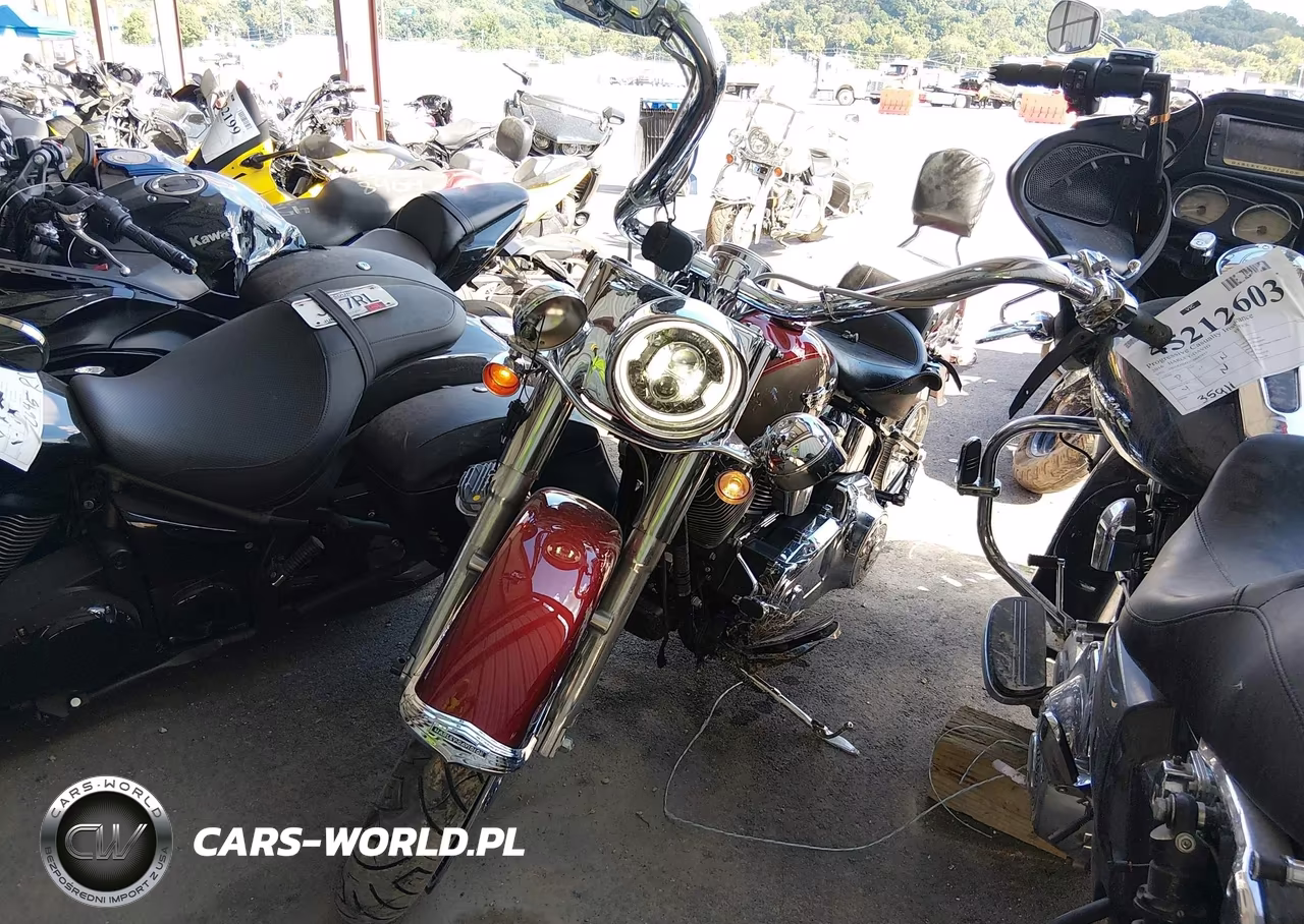 2009 Harley-Davidson Flstn VIN:1HD1JD51X9Y048189 - 2