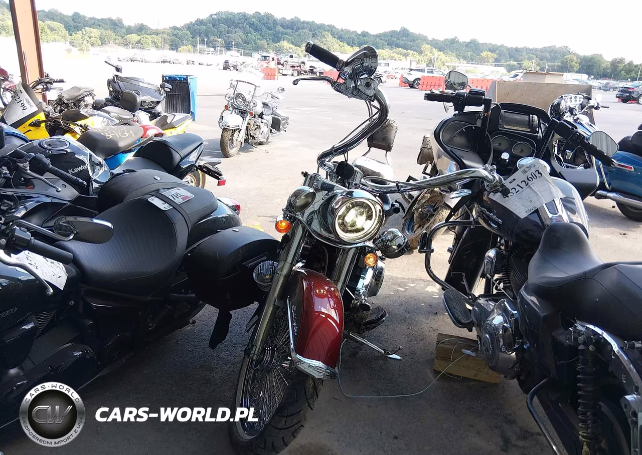 2009 Harley-Davidson Flstn VIN:1HD1JD51X9Y048189 - 5