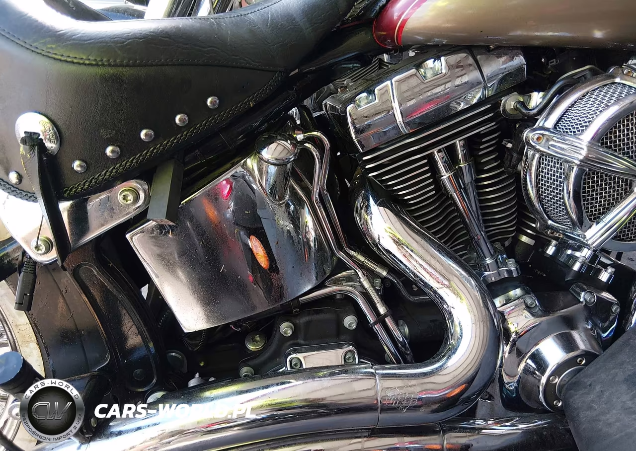 2009 Harley-Davidson Flstn VIN:1HD1JD51X9Y048189 - 8